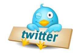 winking twitter bird winking twitter bird